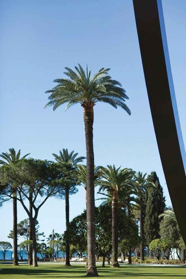 Apartment Le Jean Jaures - Refait A Neuf, Lumineux, Long Balcon, Jolie Vue, Wifi, Cœur Vieux-nice